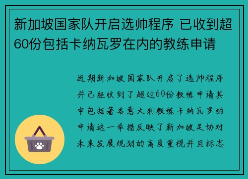 新加坡国家队开启选帅程序 已收到超60份包括卡纳瓦罗在内的教练申请